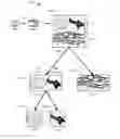 Fig. 01 - Video coding redundancy reduction