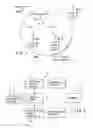 Fig. 02 - Communication system, wireless communication apparatus, and communication method