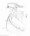 Fig. 03 - Mounting panel with elongated tongue