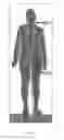 Fig. 06 - Method of processing body inspection image and body inspection apparatus
