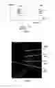 Fig. 06 - Method and system for analysing tissue from images