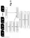 Fig. 06 - Method, system, software and medium for advanced intelligent image analysis and display of medical images and information