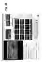 Fig. 30 - Method, system, software and medium for advanced intelligent image analysis and display of medical images and information