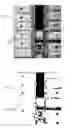 Fig. 01 - OPTICAL INSPECTION OPTIMIZATION