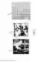 Fig. 02 - Determining an orientation direction of a color edge at a pixel location in a color image
