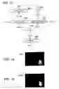 Fig. 07 - Image dynamic range compression system, method and program