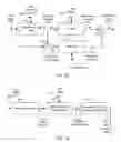 Fig. 13 - Methods and systems for image enhancement and estimation of compression noise