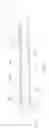 Fig. 03 - Apparatus for manufacturing an optical cable and cable so manufactured