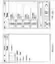 Fig. 15 - Generation and Management of Video Blogs