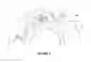 Fig. 06 - Shutter for a camera