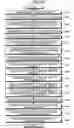 Fig. 08 - Image forming apparatus to detect and correct density variations in a developed image