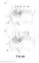 Fig. 31 - Process cartridge and image forming apparatus