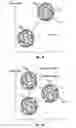 Fig. 02 - Fullerene compositions and methods for photochemical purification