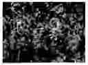 Fig. 01 - Production of calcium carbonate