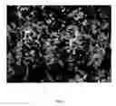 Fig. 05 - Production of calcium carbonate