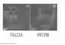 Fig. 24 - Colloidal nanoparticle materials for photodetectors and photovoltaics