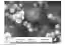 Fig. 01 - Controlling morpholoy of titanium oxide using designed peptides