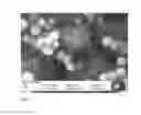 Fig. 04 - Controlling morpholoy of titanium oxide using designed peptides