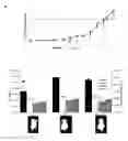 Fig. 02 - Orally administered bacteria as vehicles for systemic delivery of agents