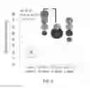 Fig. 05 - ORAL COMPOSITION FOR ALLEVIATING ULTRAVIOLET IRRADIATION-INDUCED DAMAGE