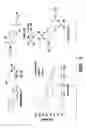 Fig. 05 - Nanoscale platinum compounds and methods of use thereof