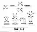 Fig. 15 - Nanoscale platinum compounds and methods of use thereof