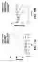 Fig. 25 - Nanoscale platinum compounds and methods of use thereof