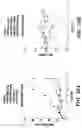 Fig. 32 - Nanoscale platinum compounds and methods of use thereof