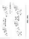 Fig. 35 - Nanoscale platinum compounds and methods of use thereof