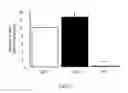 Fig. 04 - Oligodendrocyte Production from Multipotent Neural Stem Cells