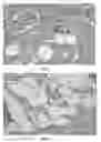 Fig. 07 - Human Placental Derived Extracellular Matrix and Uses Therof