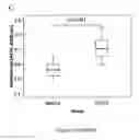 Fig. 03 - Stem cell sheet for tissue repair
