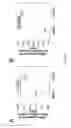 Fig. 04 - Stem cell sheet for tissue repair