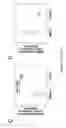 Fig. 05 - Stem cell sheet for tissue repair