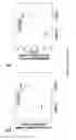 Fig. 06 - Stem cell sheet for tissue repair
