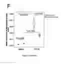 Fig. 11 - Stem cell sheet for tissue repair