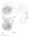 Fig. 17 - Stem cell sheet for tissue repair