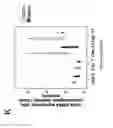 Fig. 20 - Stem cell sheet for tissue repair