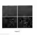 Fig. 21 - Stem cell sheet for tissue repair