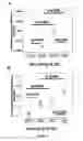 Fig. 24 - Stem cell sheet for tissue repair