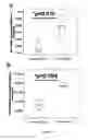 Fig. 28 - Stem cell sheet for tissue repair