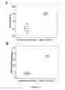 Fig. 34 - Stem cell sheet for tissue repair