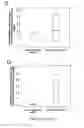 Fig. 35 - Stem cell sheet for tissue repair