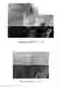 Fig. 38 - Stem cell sheet for tissue repair