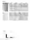 Fig. 04 - Compositions and Methods for Implantation of Processed Adipose Tissue and Processed Adipose Tissue Products