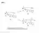 Fig. 08 - Compositions and soft tissue replacement methods