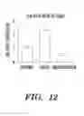 Fig. 23 - Methods for promoting hematopoietic reconstitution