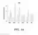 Fig. 07 - Methods for promoting HSC engraftment