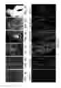 Fig. 02 - INDUCED PLURIPOTENT STEM CELLS AND METHODS OF USE