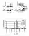 Fig. 04 - INDUCED PLURIPOTENT STEM CELLS AND METHODS OF USE